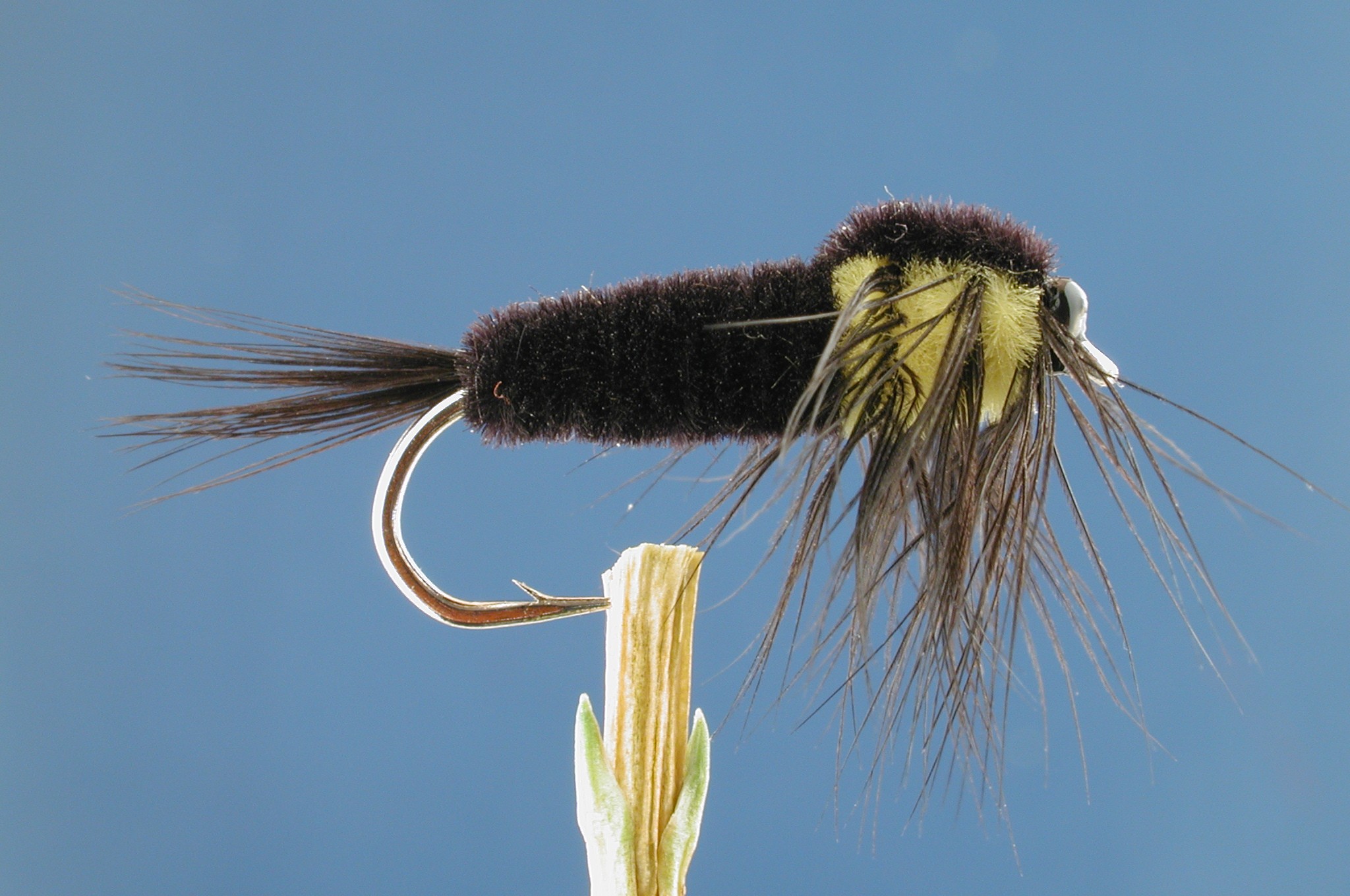 Montana Nymph Fly Fishing Flies with Fish4Flies Worldwide